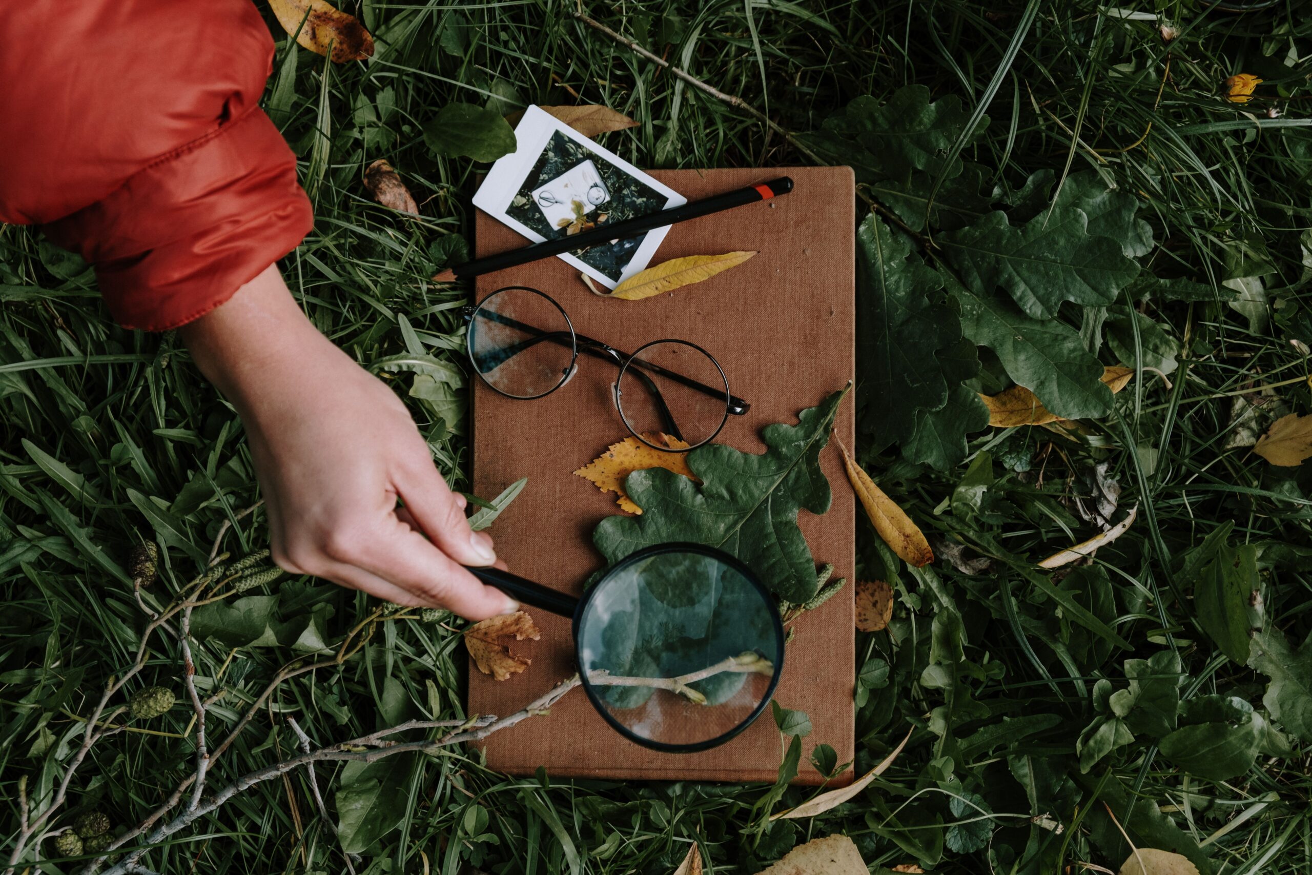 Bioblitz